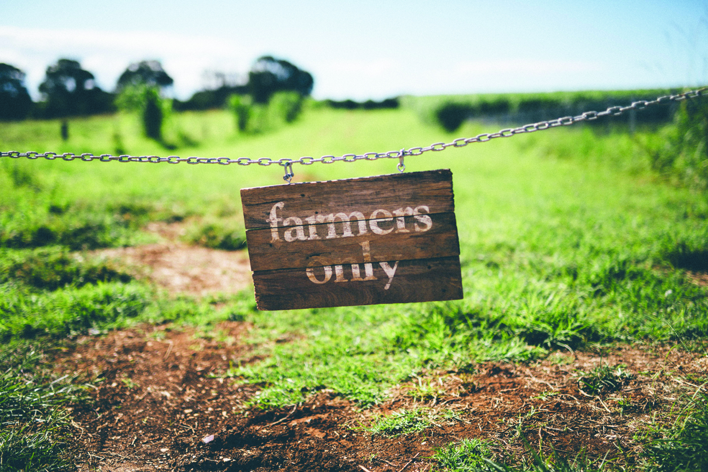 Down on the farm
