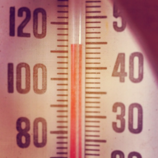 Improving commercial refrigeration systems before the hot Australian summer gets into full swing is essential! 