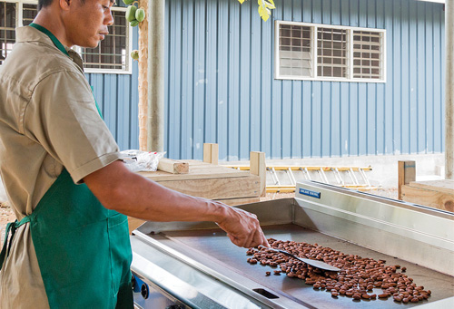 Blue Seal Evolution Griddle In Action